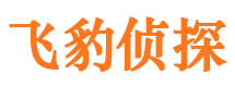 苏仙市调查取证